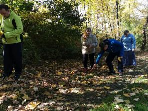 mieszkańcy zbierający jesienne liście podczas spaceru