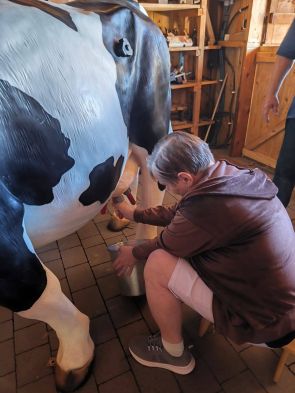 mieszkanka w skansenie 