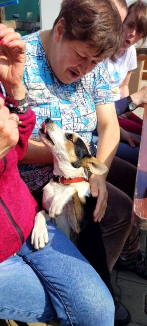 mieszkanki podczas zabawy z psem