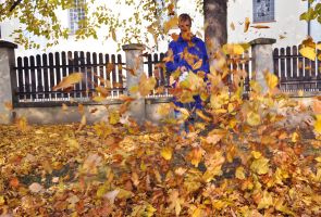 uczestnik sprzątający liście jesienią